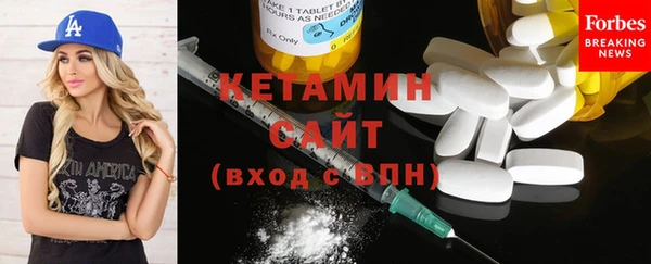 твердый Гусев