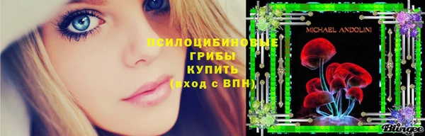 экстази Гусь-Хрустальный