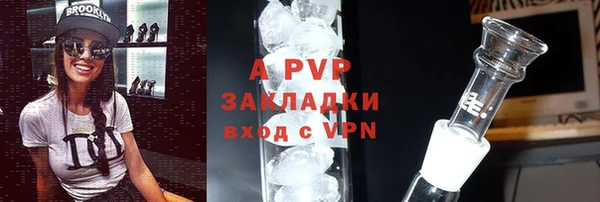 твердый Гусев