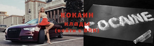 твердый Гусев