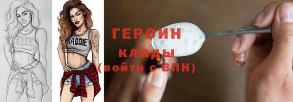 твердый Гусев