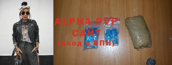 твердый Гусев