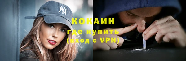 твердый Гусев