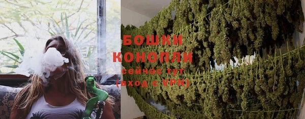 ПСИЛОЦИБИНОВЫЕ ГРИБЫ Гусиноозёрск