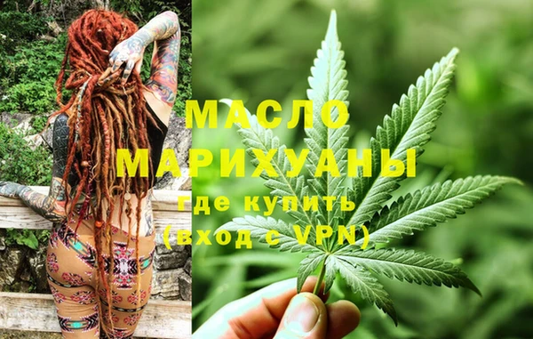 твердый Гусев
