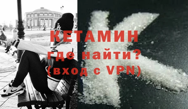 твердый Гусев