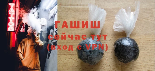 твердый Гусев