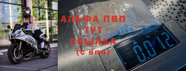 ПСИЛОЦИБИНОВЫЕ ГРИБЫ Гусиноозёрск