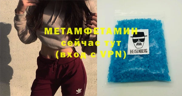 твердый Гусев