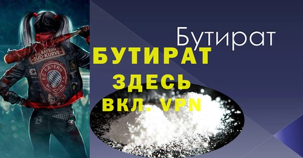 твердый Гусев