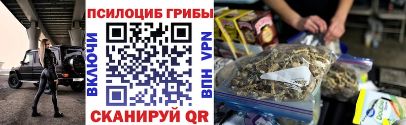 где можно купить   Тихвин  мега как войти  Галлюциногенные грибы Cubensis 